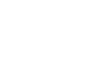 nedec
